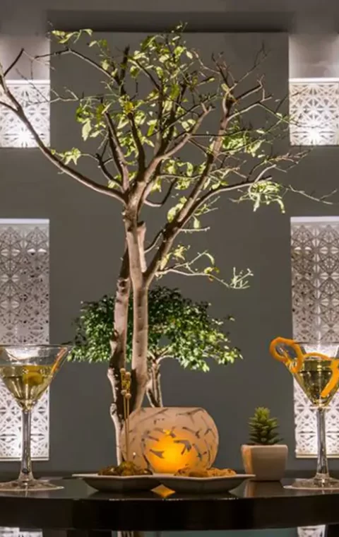 Badira Hotel